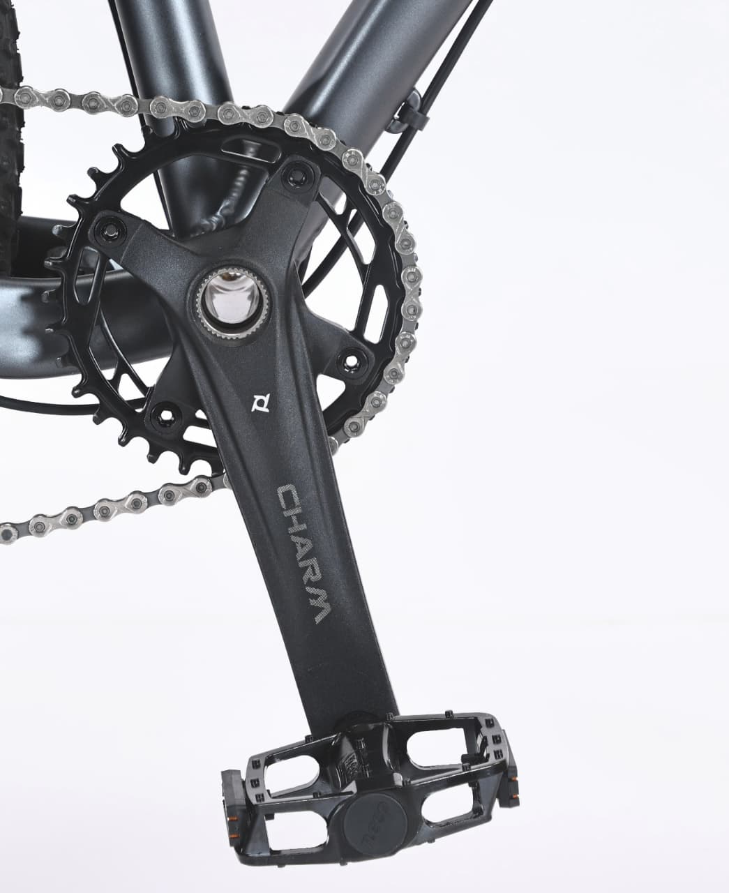 Detalle de pedalier y plato