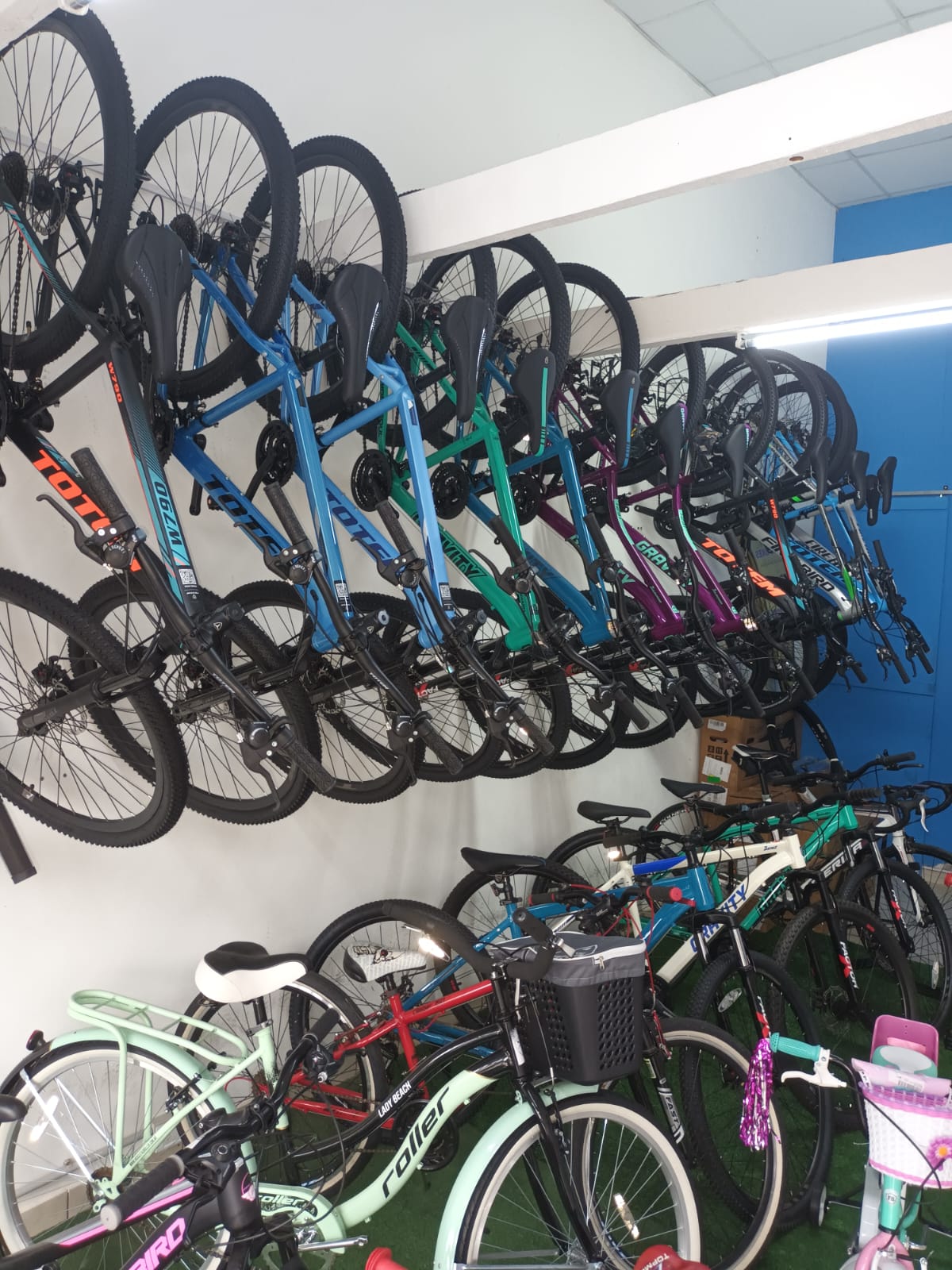 Interior de tienda con pared de bicicletas